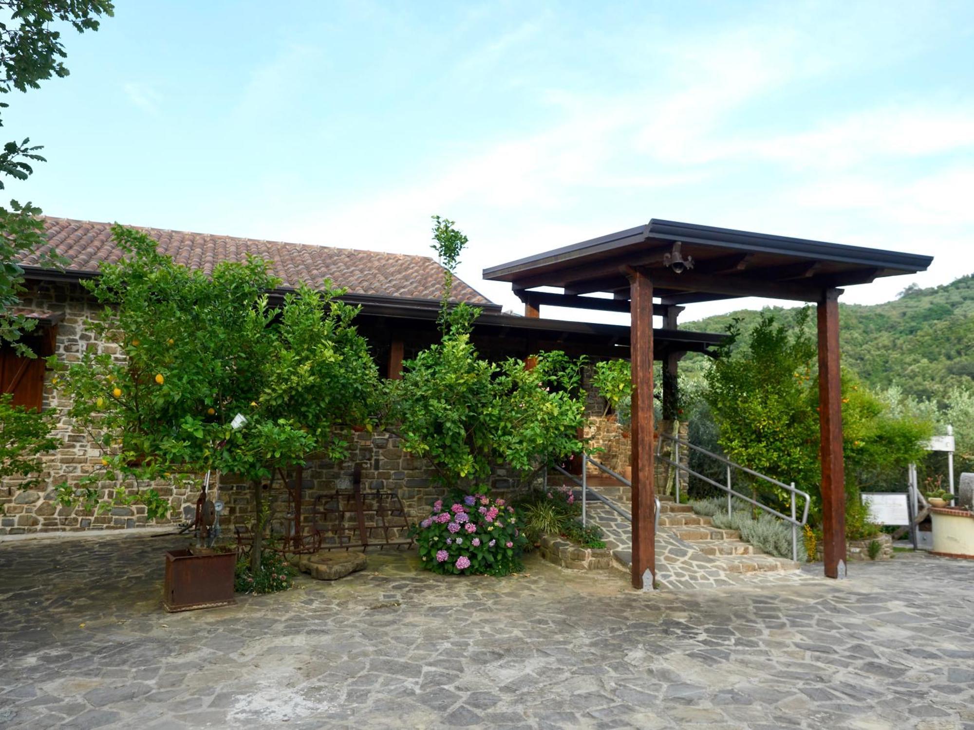 Il Vecchio Frantoio Villa Stella Cilento Exterior photo