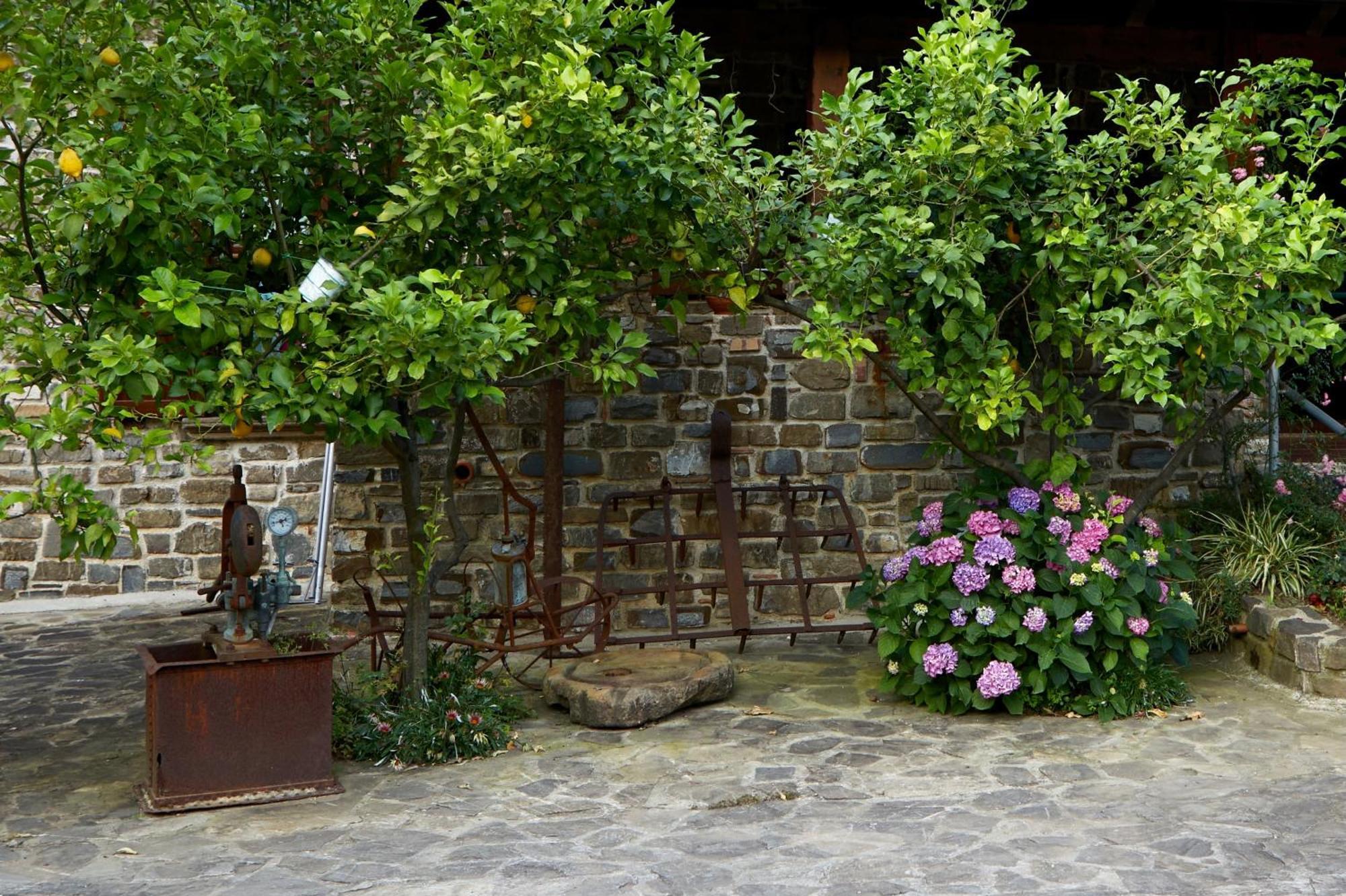 Il Vecchio Frantoio Villa Stella Cilento Exterior photo